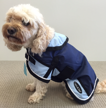 Waterproof Dog Coat 3022 - Light Blue/ Navy - Coco & Pud