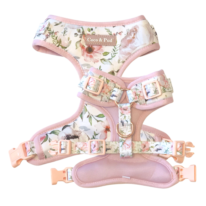 Coco & Pud Le Jardin Adjustable Dog Harness