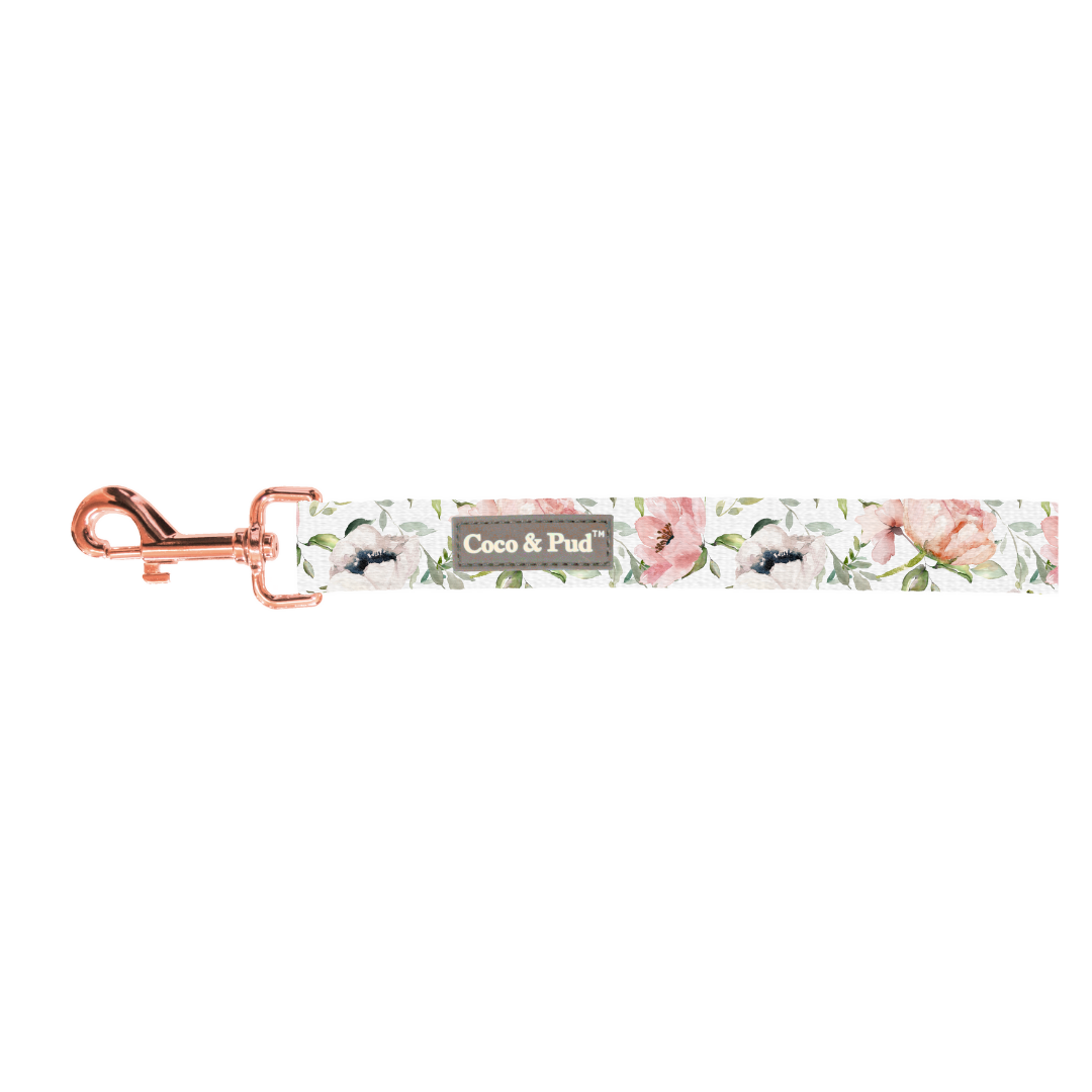 Coco & Pud Le Jardin Cat Lead