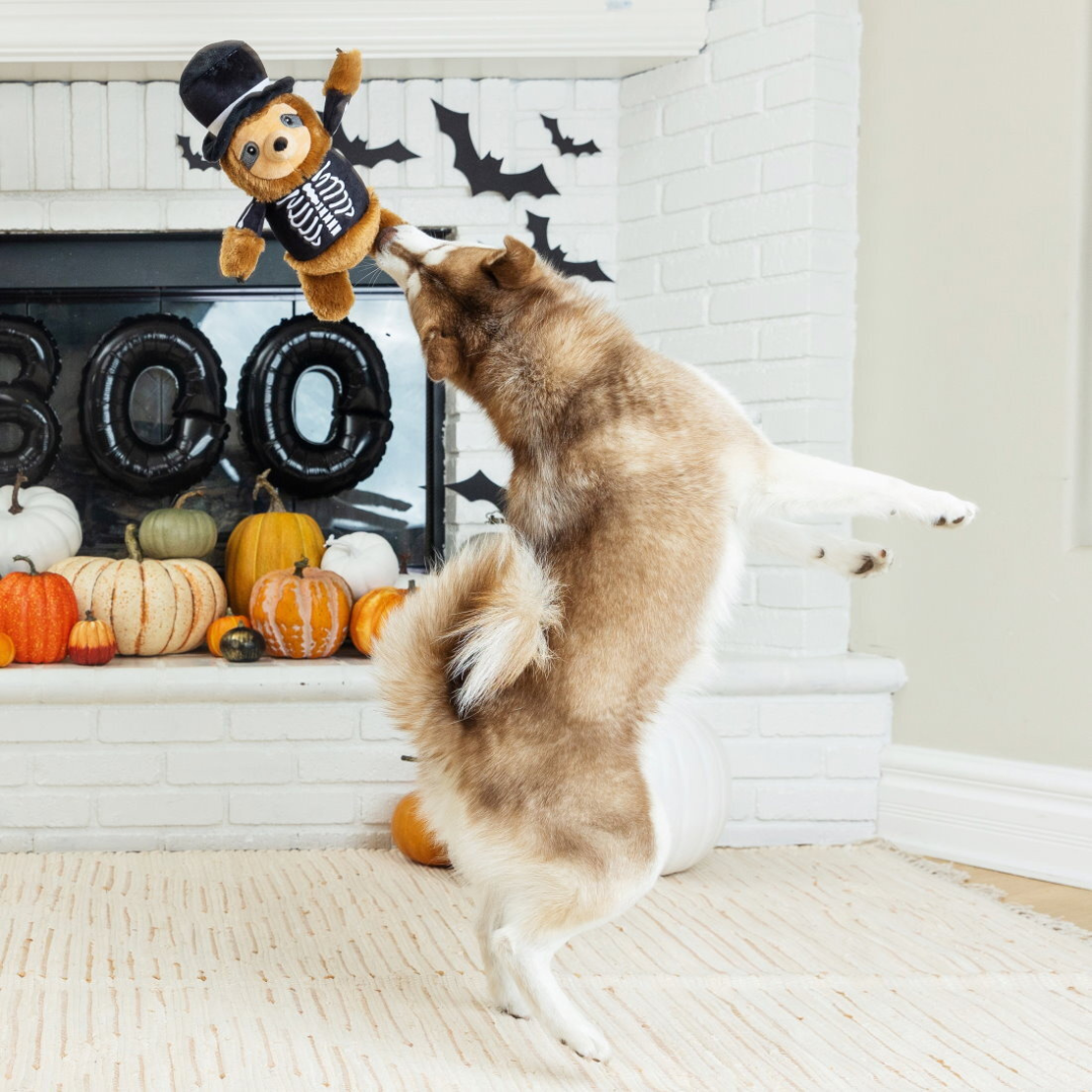 Coco & Pud Trick or Sleep dog toy with Malamute dog