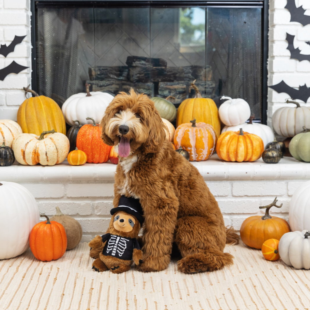 Coco & Pud Trick or Sleep sloth magician dog toy with Groodle dog